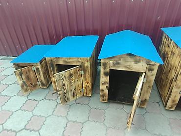 Товары и оборудование для с/х животных: Продаю будку новую — 3