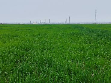 Продажа участков: 400 соток at lalafo.kg — 7 Продажа участков: 400 соток — 7