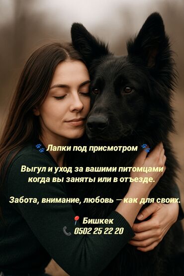 продаю музоо торпок корова самка бык самец айрширская ангус алатауская на забой для разведения на откорм племенные нетель привязанные: 🐾 Лапки под присмотром — забота, как для своих! Выгул и уход за