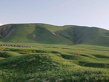 ферма скотник: Farm КРС, 50 соток, Действующий, Без оборудования, Электричество, Холодная вода — 6