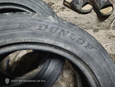 шины разноширокие: Шиналар 205 / 55 / R 16, Кыш, Комплект, Жеңил унаалар, Dunlop