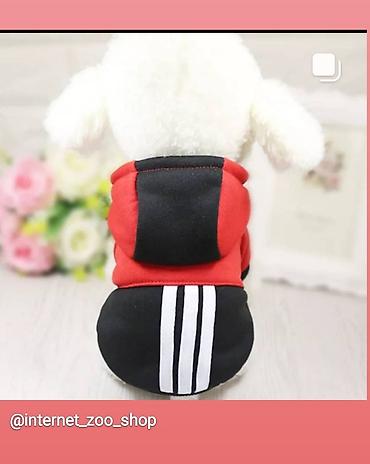 Зоотовары: Одежда для собак и кошек, большой выбор Все НОВОЕ РАЗМЕР И ЦЕНА — 30