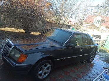 Mercedes-Benz: Mercedes-Benz 220: 1991 г., 2.3 л, Бензин, Седан