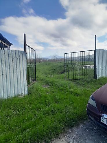 Torpaq sahələrinin satışı: 126 sot, Kənd təsərrüfatı, Kupça (Çıxarış) -da lalafo.az — 15 Torpaq sahələrinin satışı: 126 sot, Kənd təsərrüfatı, Kupça (Çıxarış) — 15