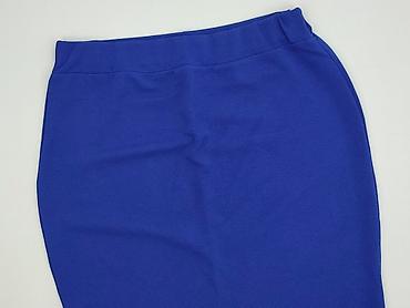 sukienka chabrowa plus size: Spódnica damska, rozmiar 2XL — 1