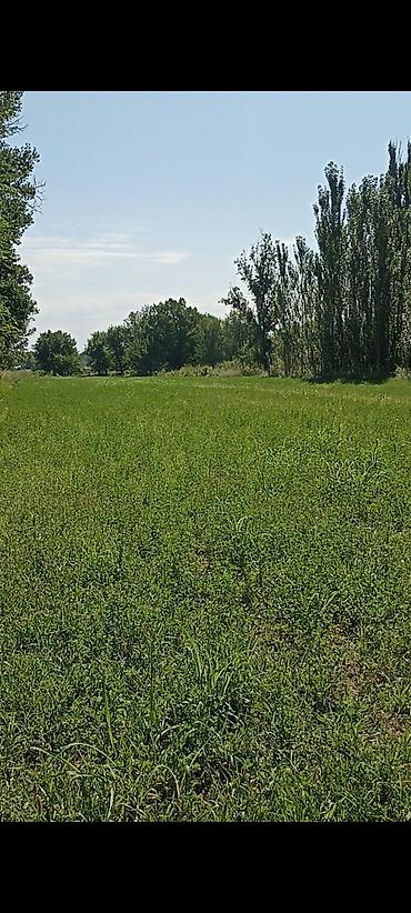 Продажа участков: 4500 соток — 14