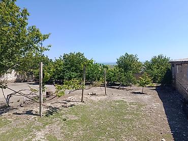gunluk bağ evləri bakı: Siyəzən, 12000 kv. m, 3 otaqlı, Kanalizasiya, Qaz, Su — 1