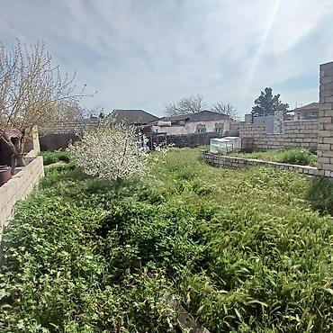 maşdağa: Tikinti, Kupça (Çıxarış) — 1