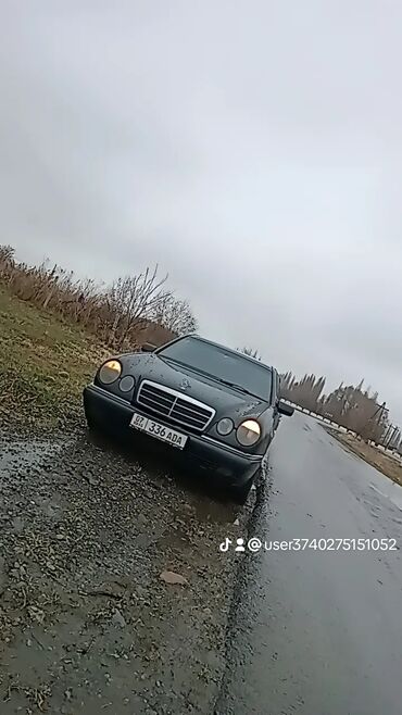 Mercedes-Benz: Mercedes-Benz : 1996 г., 3.2 л, Автомат, Бензин