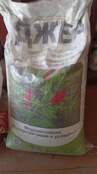 металлический мусорный контейнер купить бишкек: Семена кормовых растений: Люцерна