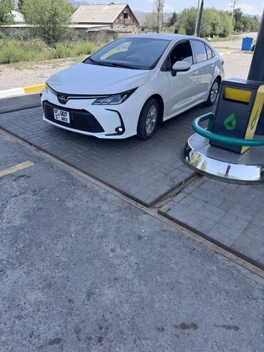зарядное устройство для электромобиля: Toyota Corolla: 2019 г., 1.8 л, Гибрид, Седан