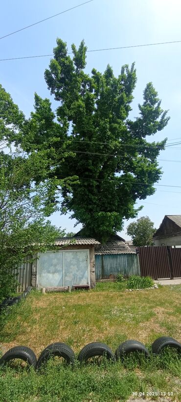 Другие пиломатериалы: Продам самовывоз цена договорная at lalafo.kg Другие пиломатериалы: Продам самовывоз цена договорная