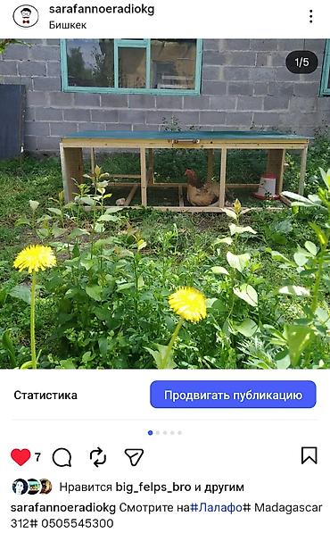 Товары и оборудование для с/х животных: Цена от 100$ и выше в зависимости от размеров. Уяча, гнездо с — 13