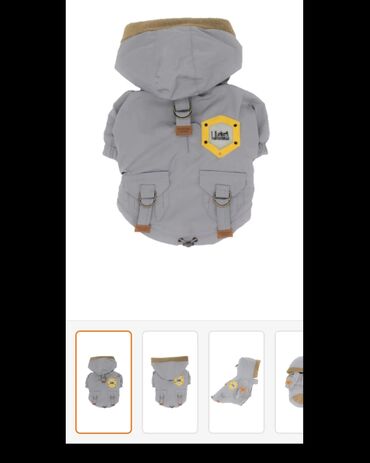 Pişiklər: Erkək, Dişi -da lalafo.az — 4 Pişiklər: Erkək, Dişi — 4