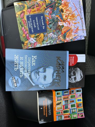 книга python: Роман, На русском языке, Б/у