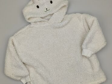 sweterki lidl: Sweatshirt, Little kids, 3-4 years, 98-104 cm, condition - Very good
