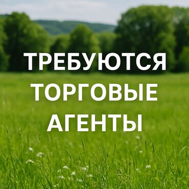 работа промоутером в бишкеке 2020: Талап кылынат Соода агенти, Иш тартиби: Беш күндүк, 1-2-жылдык тажрыйба, Сатуудан %, Кошумча акча табуу