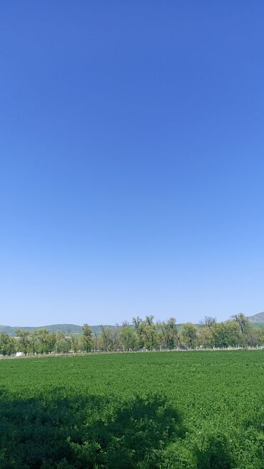 Долгосрочная аренда домов: Дом Село достук 8-я линия д 32 кирпич з комнаты отопление печное — 2