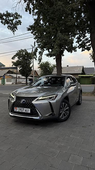 lexus ux250h: Lexus UX: 2020 г., Электромобиль, Кроссовер — 1