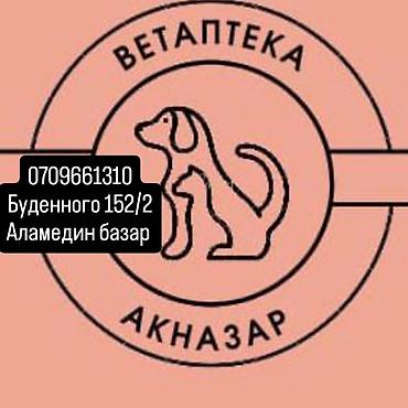 сухое молоко для котят: Заменитель молока для животных «Кормилак», фасовка на развес. - — 5