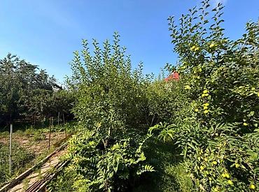 Продажа дач: 🚨🔥 СРОЧНО! ДАЧА МЕЧТЫ В КОЙ-ТАШЕ — ЗАЕЗЖАЙ И ОТДЫХАЙ УЖЕ СЕГОДНЯ! 🔥🚨 — 11