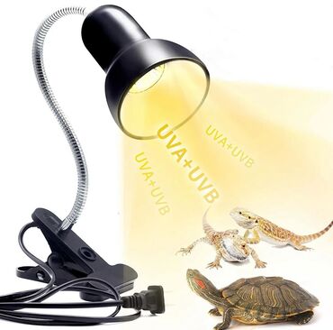 Аквариумы: Рыбки | Аквариумы | Оборудование | Аксессуары | Растения Богатый опыт — 24