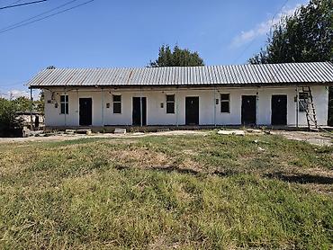 котедж слив пантера: Здание, Действующий 100 м² — 9