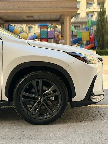 lexus: Lexus NX: 2023 г., 2.5 л, Автомат, Гибрид, Кроссовер — 5