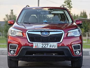 forest: Subaru Forester: 2019 г., Кроссовер — 1