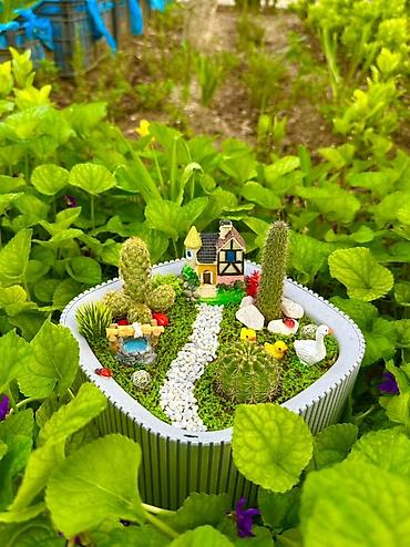 en gozel dibcek gulleri: Mini bağ kompozisiyası – sukulent/kaktus terrariumu - Üçbucağa yaxın — 1