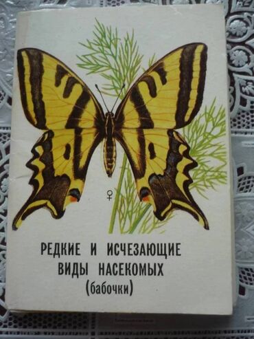 Açıqcalar: Набор открыток "АССР" 24 штуки. Редкие и исчезающие виды насекомых