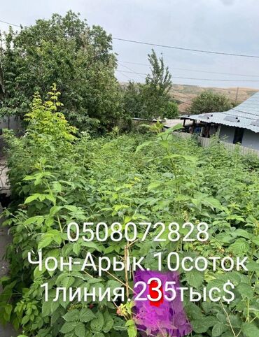 агентство недвижимости бишкек продажа домов: 10 соток, Бизнес үчүн, Кызыл китеп, Техпаспорт, Сатып алуу-сатуу келишими
