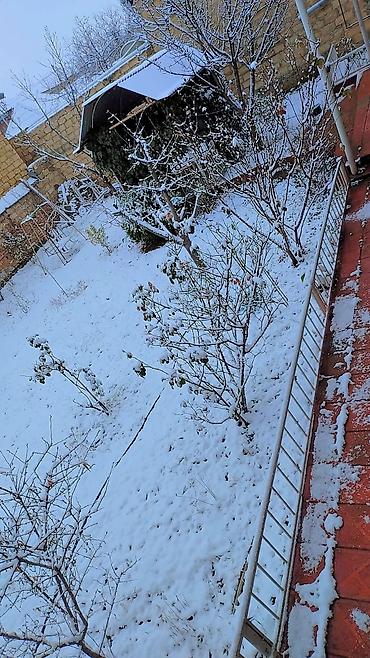 quba kirayə ev: Telebeler(qizlar) üçün kiraye ev. 2ci korpusa sadece bir — 3