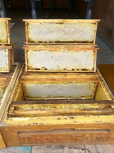 ППУ - пенополиуретан: Полиуретановые ульи для пчеловодства - Материал: литой ППУ — 17