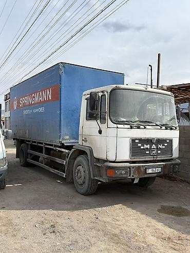 Грузовики: Грузовик, MAN, Стандарт — 3