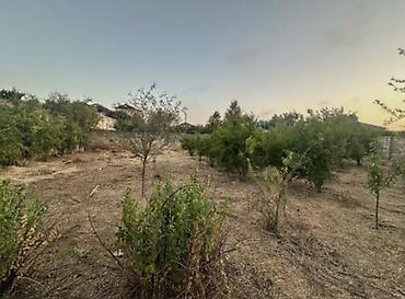 bine savxoz torpaq satilir: Tikinti — 1