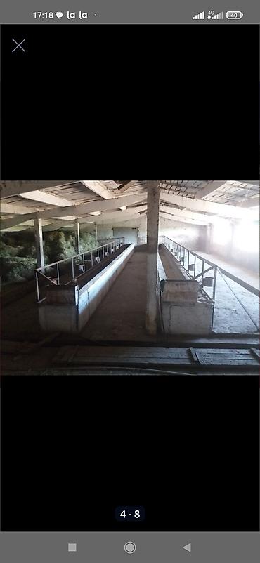 Продажа другой коммерческой недвижимости: Срочно продается кошара.( в 7 км от трасы Бишкек Кара- Балта ) 40 — 4