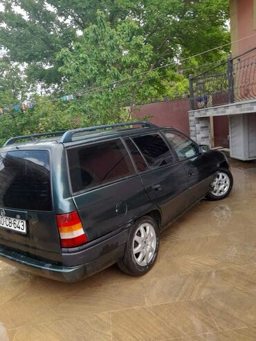 opeler: Opel Astra: 1.6 л | 1995 г. Минивэн