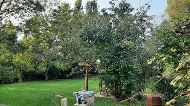 Günlük kirayə evlər: 120 kv. m, 5 otaqlı, Kombi, Qaz, Su -da lalafo.az — 6 Günlük kirayə evlər: 120 kv. m, 5 otaqlı, Kombi, Qaz, Su — 6