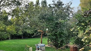 28 may kiraye ev: 120 kv. m, 5 otaqlı, Artezian quyusu, İşıq, Kanalizasiya — 6