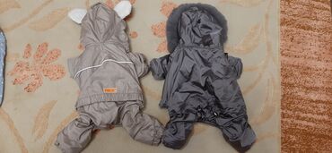Geyimlər: Красивыекачественные почти новые вещи на маленьких собачек. Все в — 3