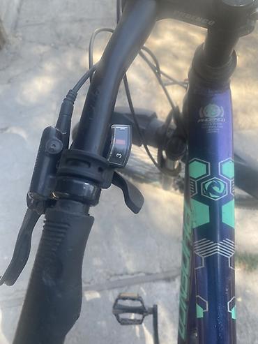 low2 fixie: Горный велосипед Phoenix - Рама: хардтейл, алюминиевая/стальная (по — 6