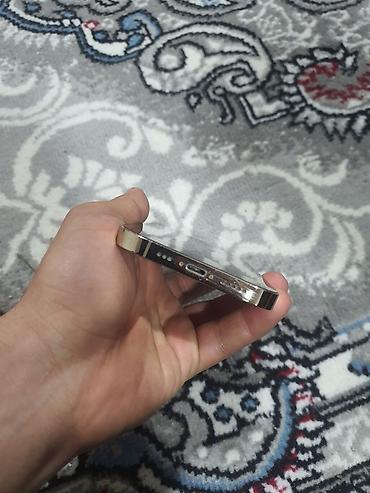 note 13 pro 256gb: IPhone 13 Pro, 256 GB, Gümüşü, Simsiz şarj — 7