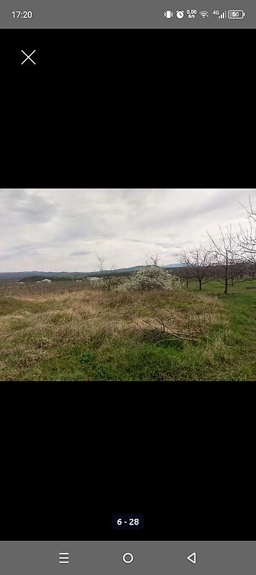 Torpaq sahələrinin satışı: Kənd təsərrüfatı — 5