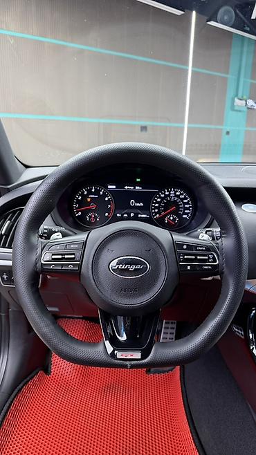 буду шины: Kia Stinger: 2018 г., 3.3 л, Автомат, Бензин, Лифтбек — 9