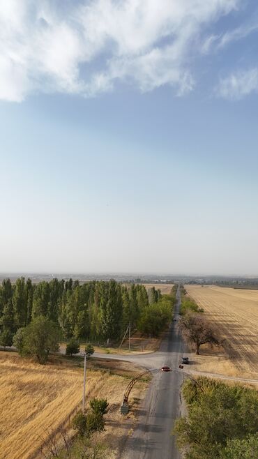 Продажа участков: 5 соток, Для строительства, Красная книга, Тех паспорт — 12