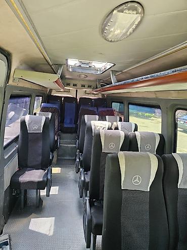 Mercedes-Benz: Mercedes-Benz Спринтер: 2007 г., Бус — 10