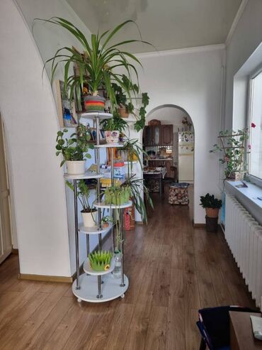 дом село будёновка: Үй, 85 кв. м, 3 бөлмө, Кыймылсыз мүлк агенттиги, Евро оңдоо