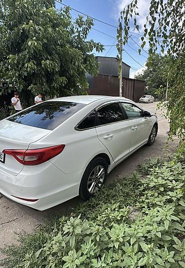 elantra 2016: Hyundai Sonata: 2016 г., 2 л, Автомат, Газ, Седан — 4