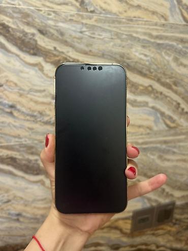 13 pro max ekran: IPhone 13 Pro Max, 256 ГБ, Золотой, Face ID — 2